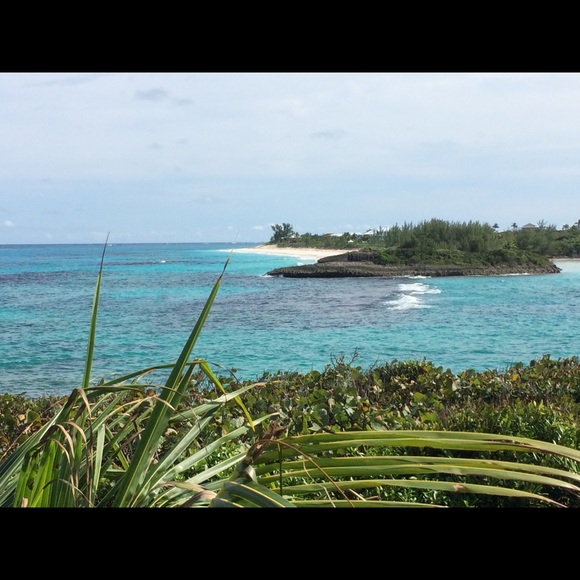 Meet your Posher, Susie - Picture 1 of 1